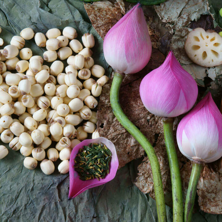 hương-dan-cach-lay-tam-sen-don-gian-nhat