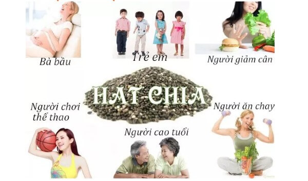 cong-dung-cua-hat-chia-my