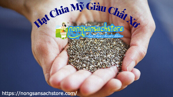 hat-chia-my-giau-chat-xo