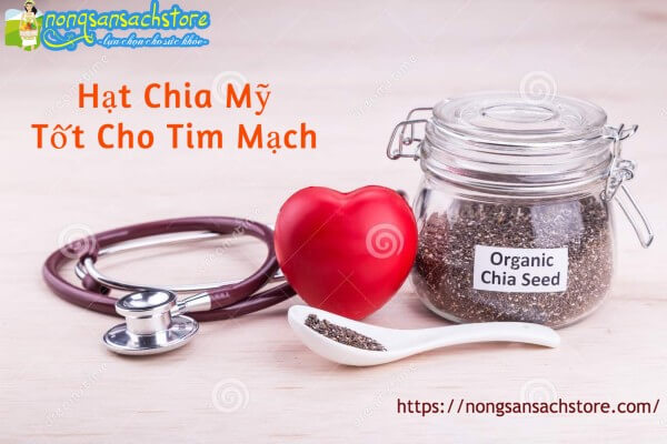 hat-chia-my-tot-cho-tim-mach