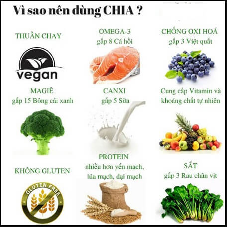 tác dụng của hạt chia mỹ