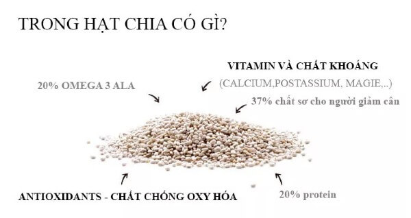 thanh-phan-dinh-duong-cua-hat-chia-my