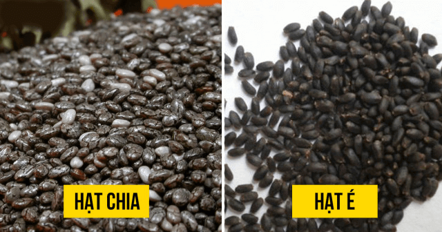 phan-biet-hat-chia-va-hat-e