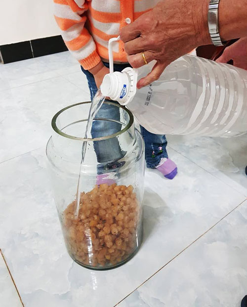 Chia Sẻ Cách Ngâm Rượu Long Nhãn
