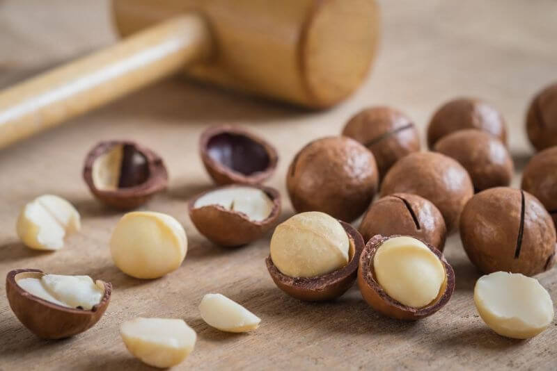 Cách Làm Sữa Hạt Điều Bổ Dưỡng Dễ Làm Tại Nhà 9 cach-lam-sua-hat-dieu-macca-tai-nha-de-nhat
