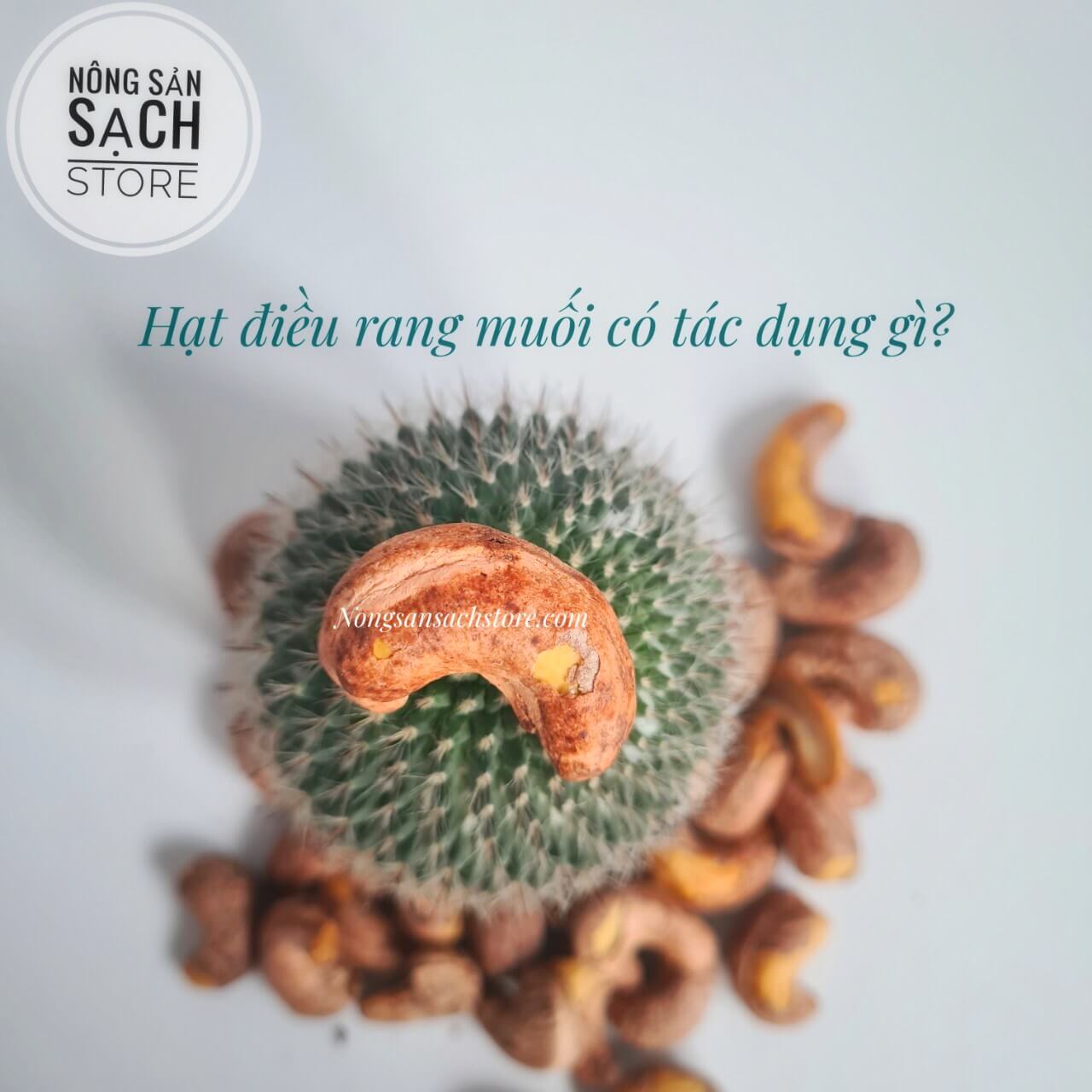 Hạt Điều Rang Muối 21 cong-dung-cua-hat-dieu-rang-muoi