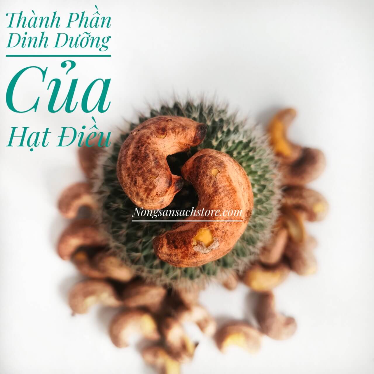 Hạt Điều Rang Muối 18 thanh-phan-dinh-duong-cua-hat-dieu-rang-muoi