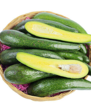 bo-034-cach-bao-quan-bo-034-tot-nhat