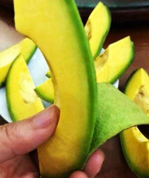 Bơ Sáp ĐakLak 6 bo sap dak dak ngon nhat