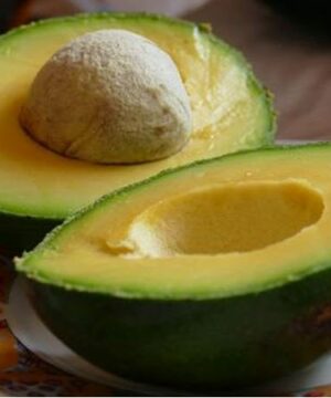 cong-dung-cua-bo-booth-la-gi