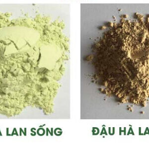Bột Đậu Hà Lan 11 bot-dau-ha-lan-nguyen-chat 2