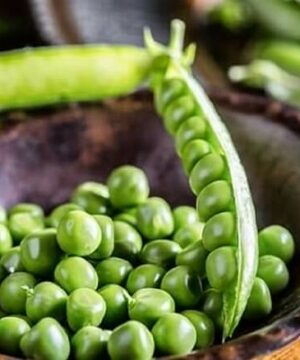 dau-ha-lan-rang-muoi-2