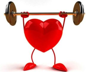 hỗ trợ tim mạch