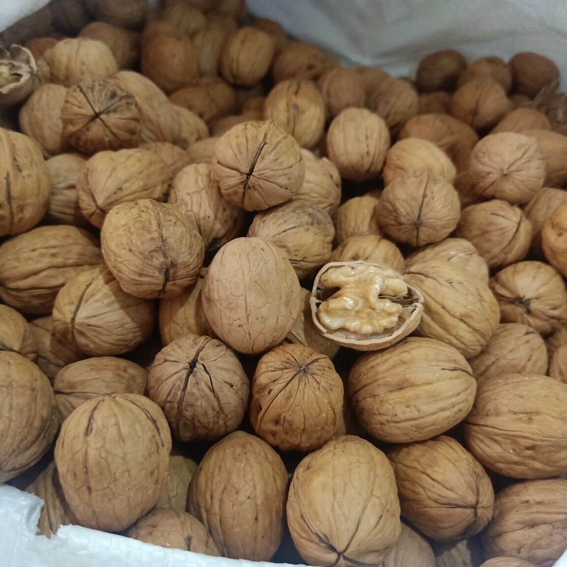 cach-bao-quan-qua-oc-cho