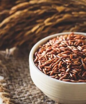 cach-chon-mua-gao-lut-do-chat-luong