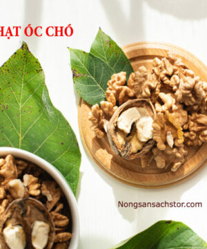 Nhân Óc Chó Vàng Mỹ 17 cong-dung-cua-hat-oc-cho