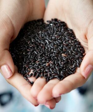 gao-lut-den-giam-can-hieu-qua