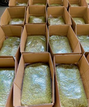 Hạt Bí Xanh 20 hat-bi-xanh