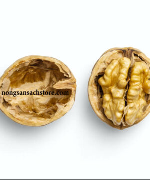 Nhân Óc Chó Vàng Mỹ 13 hat-oc-cho-my