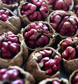 mua-qua-oc-cho-do-my-o-dau