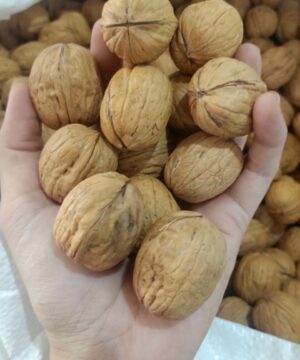 nhung-ai-khong-nen-dung-qua-oc-cho