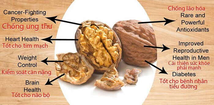 tac-dung-cua-qua-oc-cho-vang-my