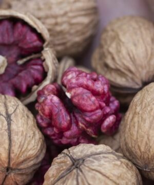 thanh-phan-dinh-duong-cua-qua-oc-cho-do