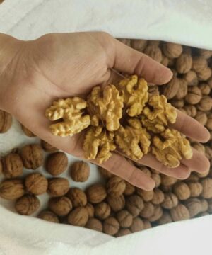 thanh-phan-dinh-duong-cua-qua-oc-cho-vang