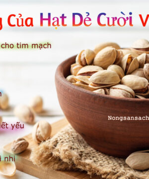 hat de cuoi my