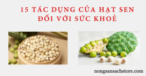 hat-sen-co-tac-dung-gi-voi-suc-khoe