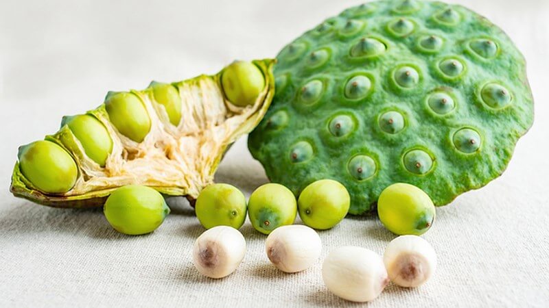 Hạt Sen Có Tác Dụng Gì? 30 hat-sen-co-tac-dung-gi