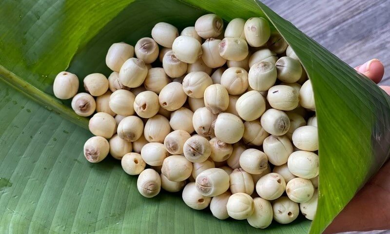 Hạt Sen Có Tác Dụng Gì? 32 hat-sen-tri-benh-lan-o-nguoi-gia